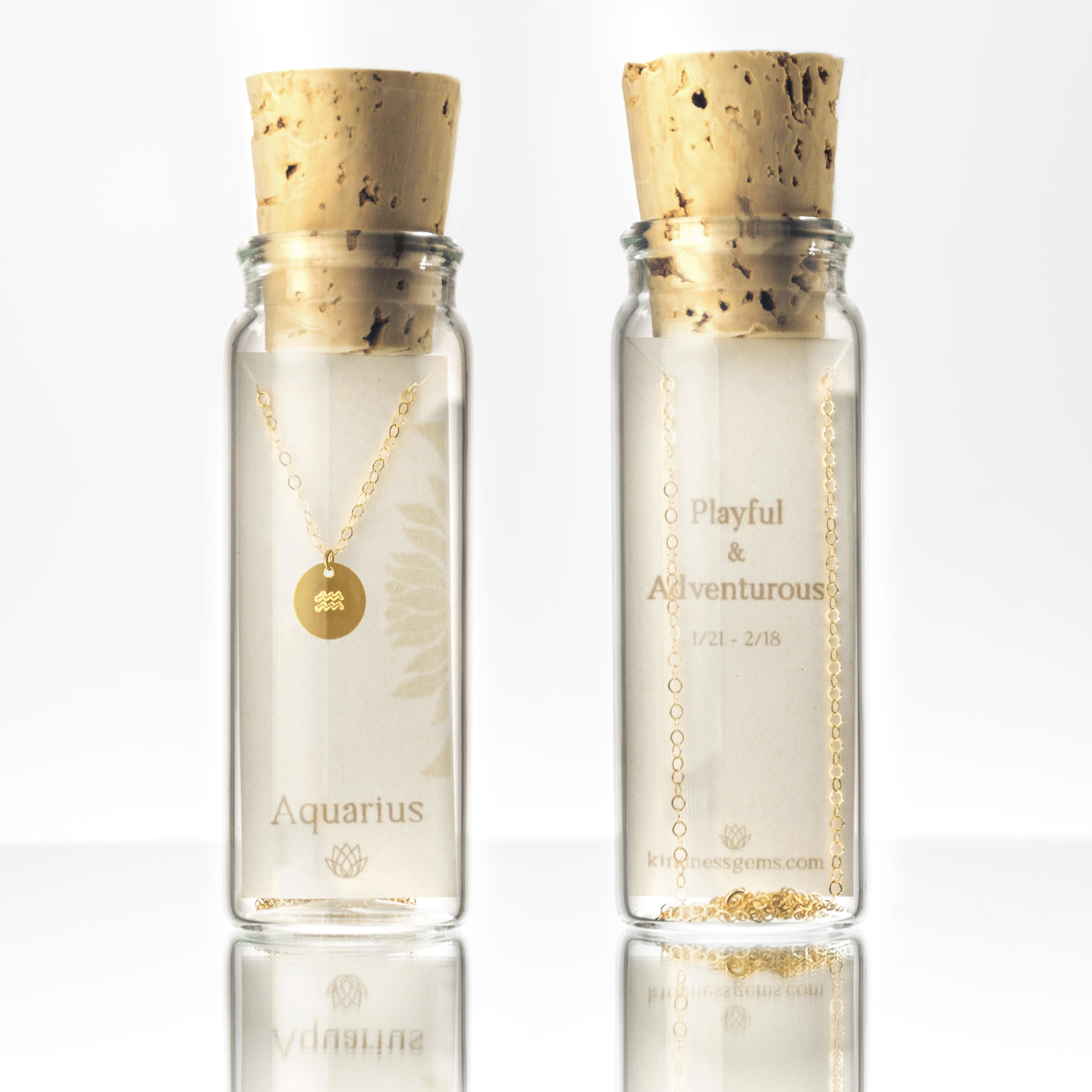 zodiac gold necklace in a bottle gift