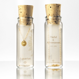 zodiac gold necklace in a bottle gift