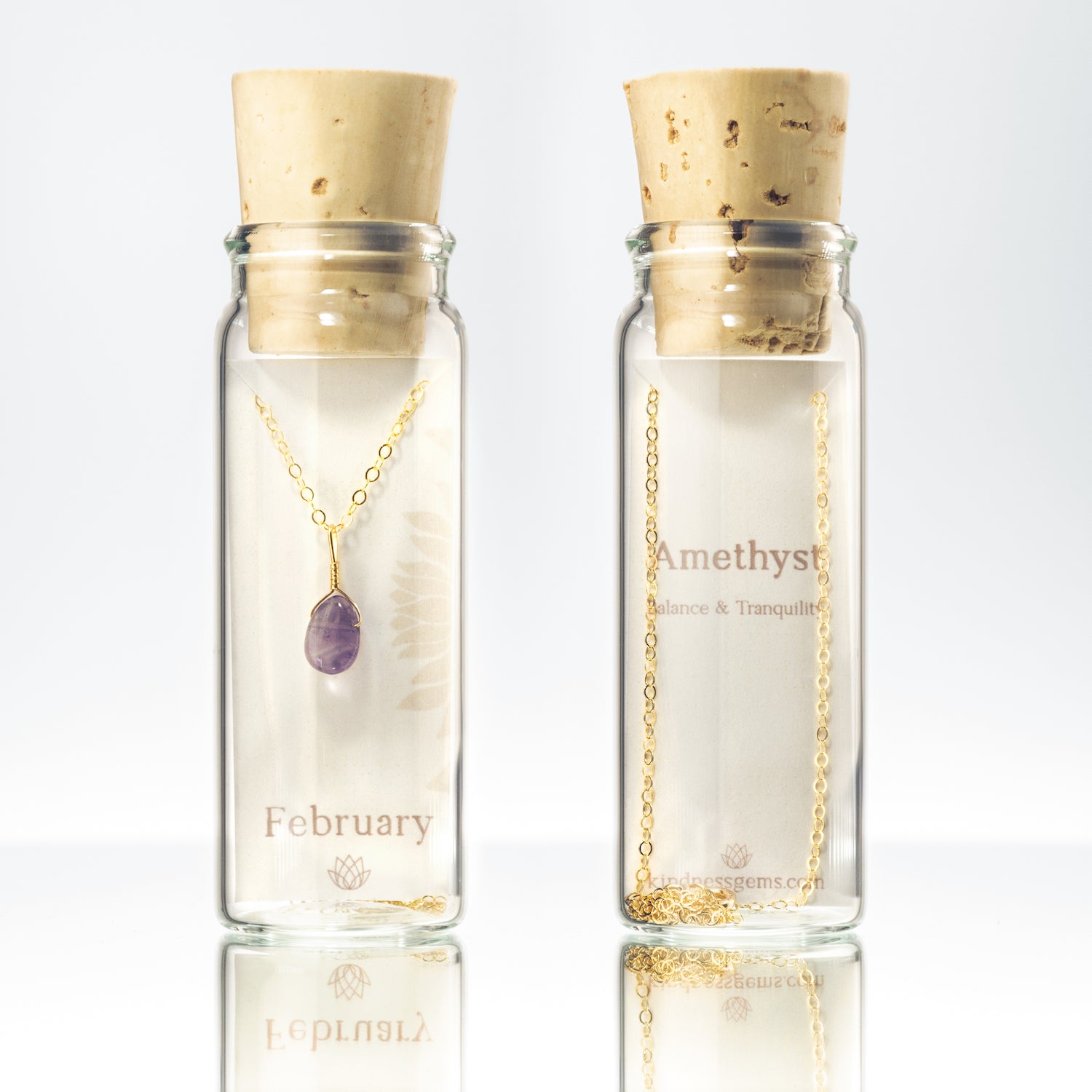 february birthstone necklace in a bottle gift