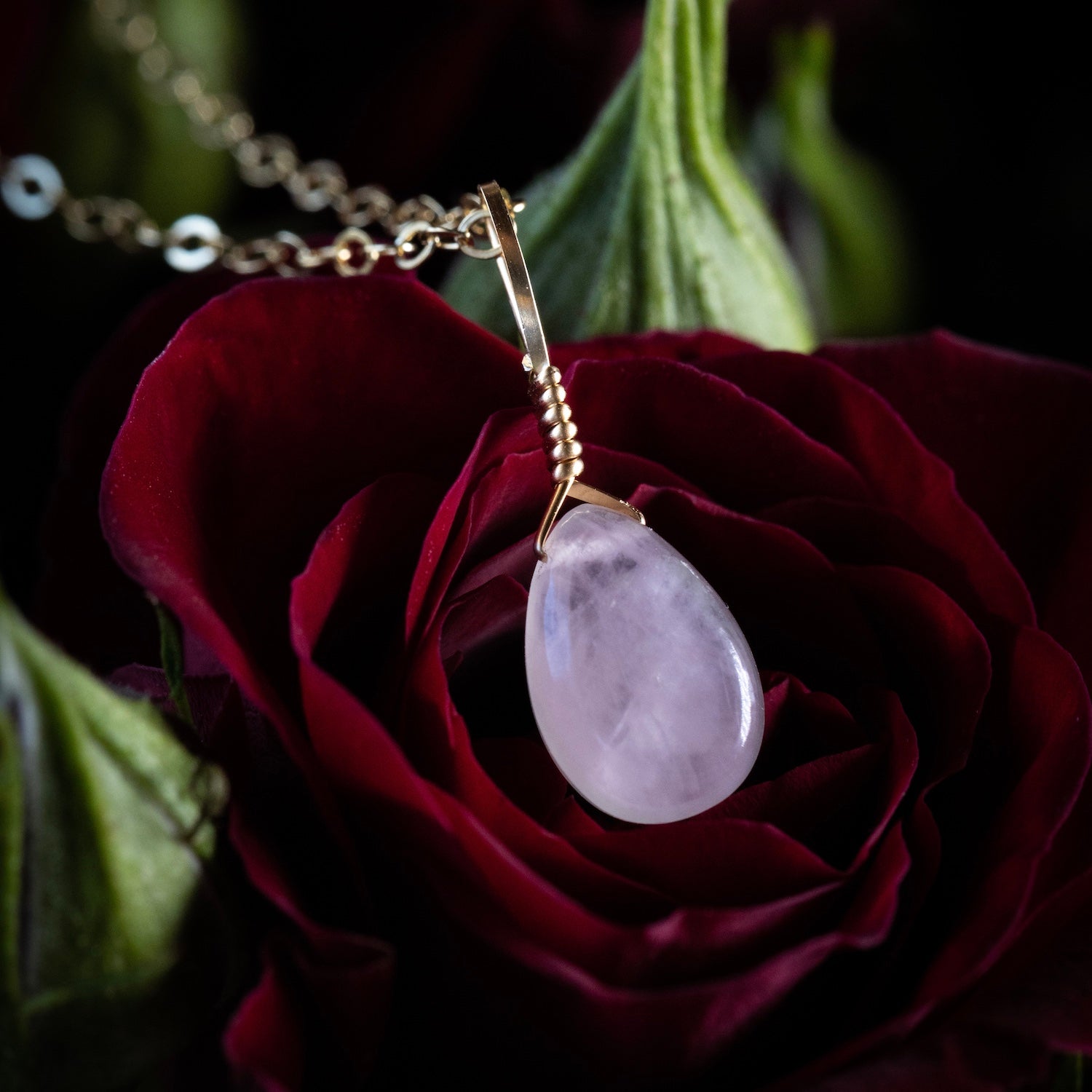 rose quartz simple necklace on a rose
