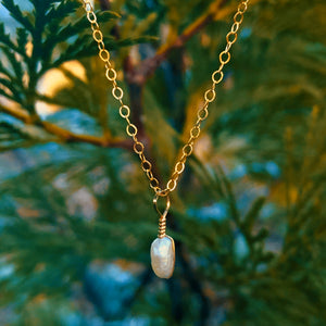 simple pearl jewel necklace in gold